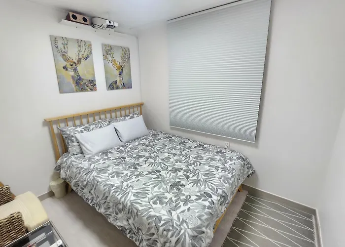 메종드영도 Maison De Yeongdo Busan